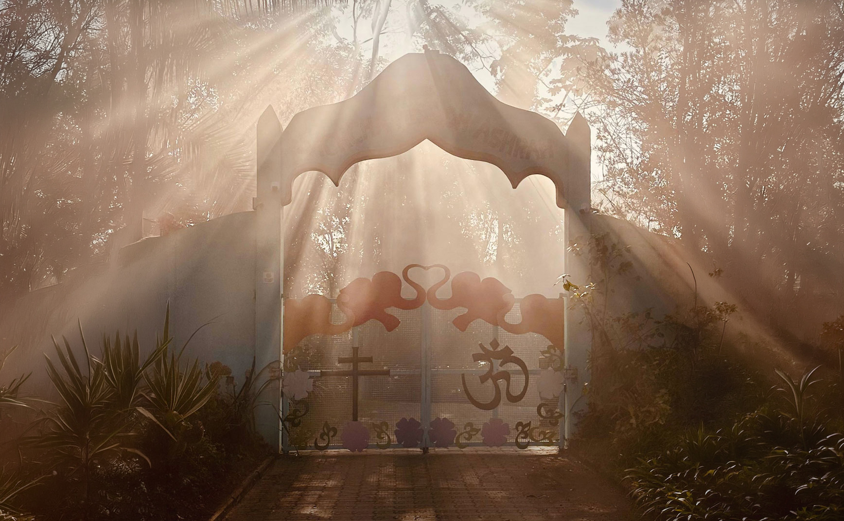 Солнечный свет среди деревьев у входа в Sachcha Mission Ashram